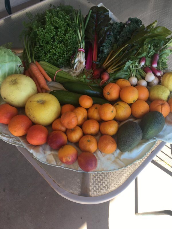 Farmer Steve CSA Example Farmer Steve CSA Example